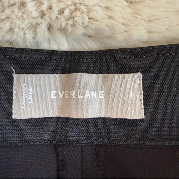 Everlane The Side Zip Work pants in back - Picture 7 of 10